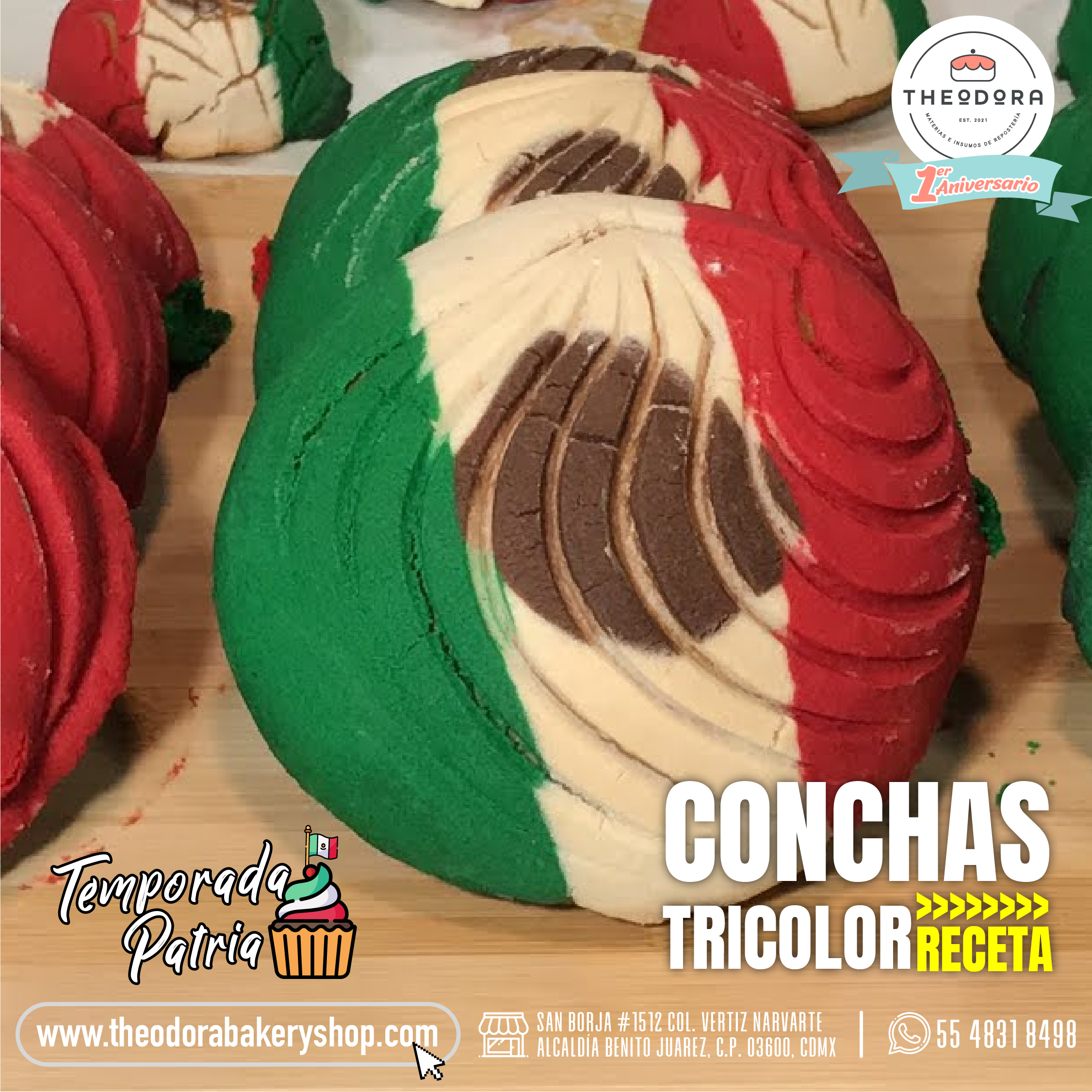 CONCHAS TRICOLO