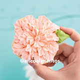 ENCO COLORES EN GEL 40G DULCE MELOCOTON