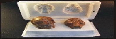 MOLDE DE ACETATO CABEZA DE CALAVERA 3D
